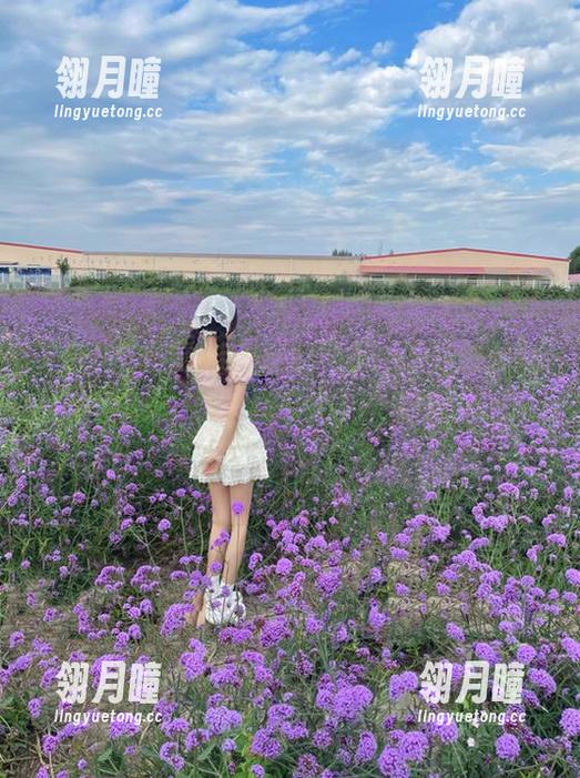 免费吃瓜网app下载链接安全无广告，畅享纯净吃瓜体验