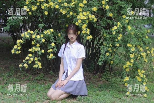 黑料51导航版，汇聚全球最火爆的娱乐黑料吃瓜点