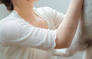 黑料不打烊最新版苹果版上线在线直播精彩不停