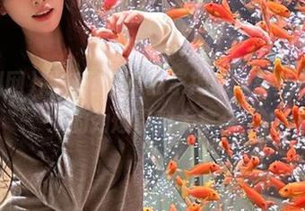 黑料网首页独家揭秘,粉丝们热议的劲爆黑料大集合